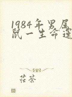 1984年男属鼠一生命运如何