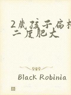 2岁孩子扁桃体二度肥大