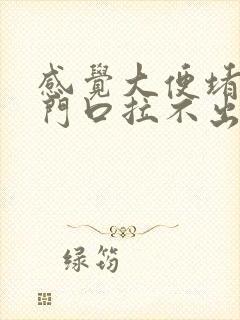 感觉大便堵在肛门口拉不出来