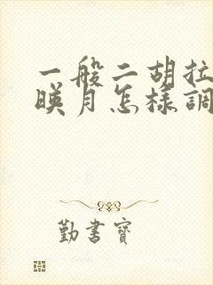 一般二胡拉二泉映月怎样调音