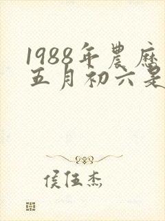 1988年农历五月初六是什么命