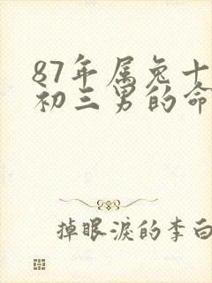 87年属兔十月初三男的命运