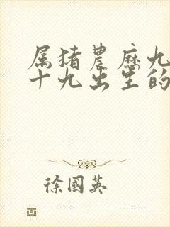 属猪农历九月二十九出生的人命运怎么样