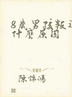 8岁男孩叛逆是什么原因