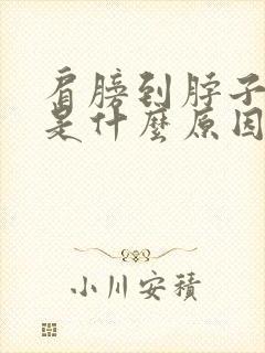 肩膀到脖子酸疼是什么原因