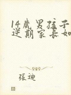 14岁男孩子叛逆期家长如何管教