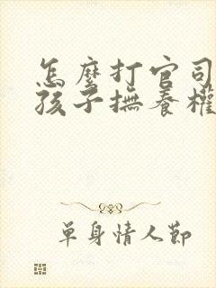 怎么打官司要回孩子抚养权