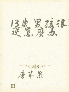 13岁男孩很叛逆怎么办