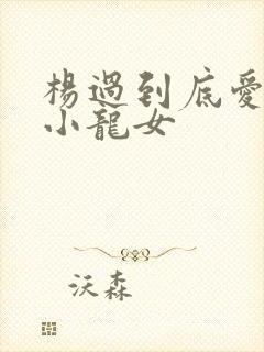 杨过到底爱不爱小龙女封面