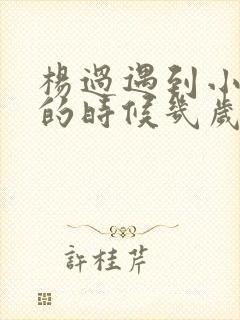 杨过遇到小龙女的时候几岁