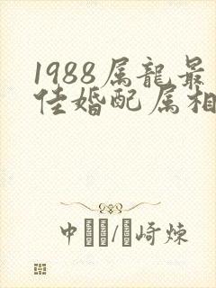 1988属龙最佳婚配属相封面