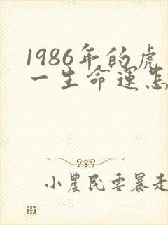 1986年的虎一生命运怎样封面