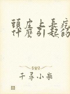 头皮上长疙瘩是什么引起的