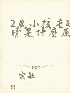 2岁小孩老眨眼睛是什么原因