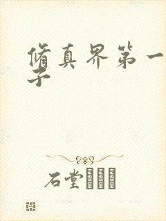 修真界第一病秧子封面