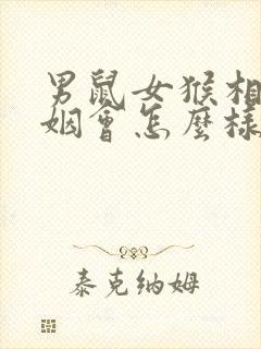 男鼠女猴相配婚姻会怎么样封面