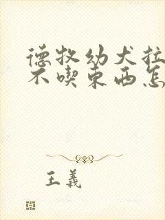 德牧幼犬拉肚子不吃东西怎么办