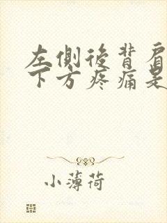 左侧后背肩胛骨下方疼痛是什么原因