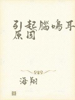 引起脑鸣耳鸣的原因