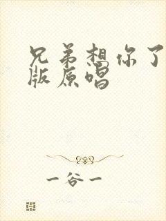 兄弟想你了dj版原唱