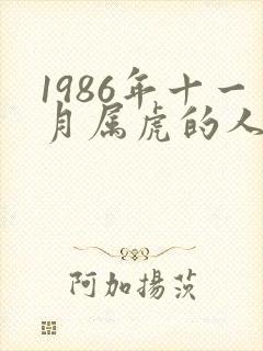 1986年十一月属虎的人命运