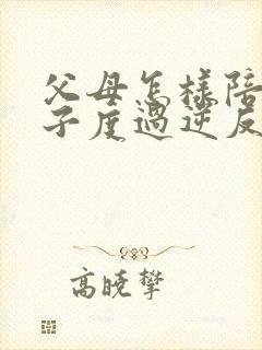 父母怎样陪伴儿子度过逆反期