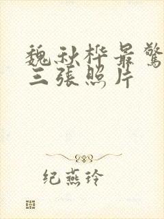 魏秋桦最惊艳的三张照片封面