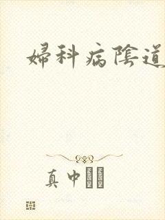 妇科病阴道外痒