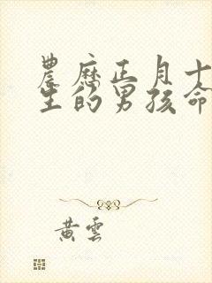 农历正月十三出生的男孩命运