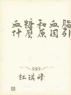 血糖和血脂高是什么原因引起的封面