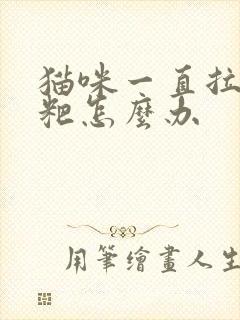 猫咪一直拉稀粑粑怎么办封面