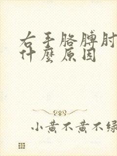 右手胳膊肘痛是什么原因