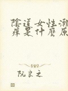 阴道女性潮湿瘙痒是什么原因造成的