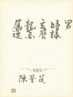 属龙亥时男孩命运怎么样封面