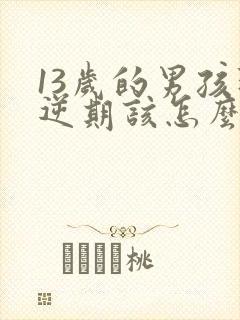 13岁的男孩叛逆期该怎么办