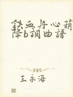 铁血丹心葫芦丝降b调曲谱封面