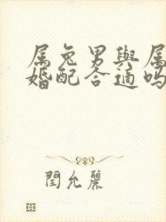 属兔男与属牛女婚配合适吗