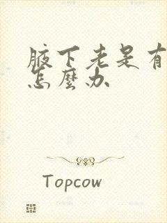 腋下老是有汗味怎么办