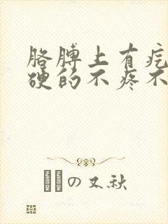 胳膊上有疙瘩硬硬的不疼不痒