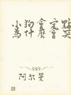 小狗会定点尿,为什么会突然乱尿了呢