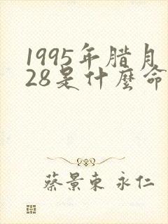 1995年腊月28是什么命