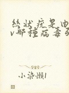 丝状疣是由hpv哪种病毒引起