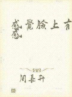 感觉脸上有刺痛感封面