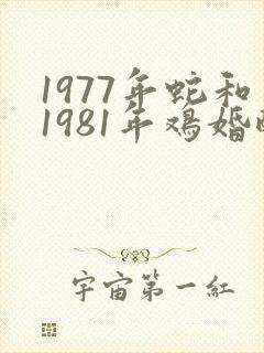 1977年蛇和1981年鸡婚配不
