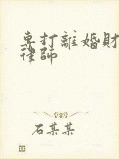 专打离婚财产的律师