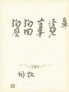 狗狗有清鼻涕怎么回事儿