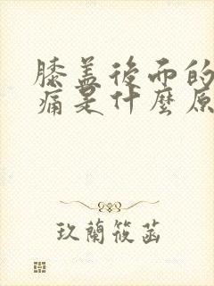 膝盖后面的窝疼痛是什么原因引起的