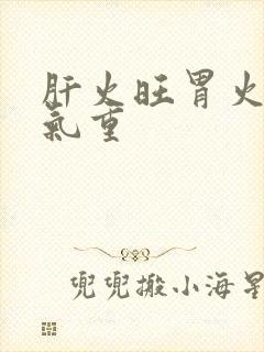 肝火旺胃火旺湿气重