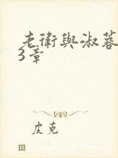 老卫与淑蓉第13章