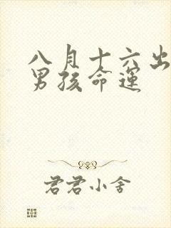 八月十六出生的男孩命运